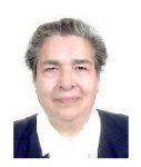 PDDM Messico: Sr. M. Fe Magaña Medina